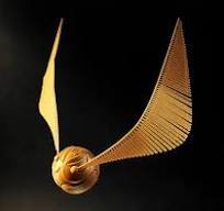 Golden Snitch — Download Resume